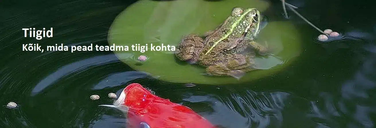 tiigid veesilm2 1 jpg