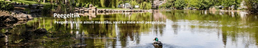 peegeltiik1
