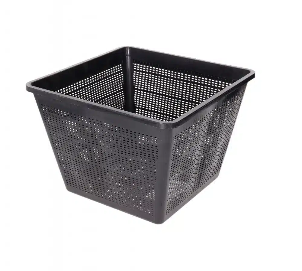 Tiigitaime istutuskorv 28x28x18cm 1 Tiigitaime istutuskorv 28x28x18cm