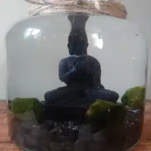 Buddha seade marino samblapallidega