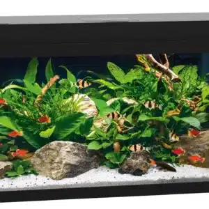 Akvaarium Primo LED 60L-110L