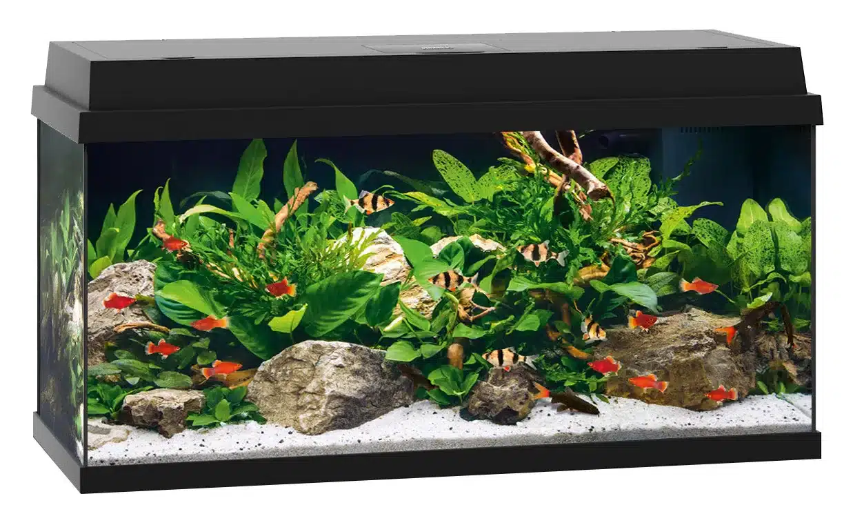 Akvaarium Primo LED 60L-110L 1 Akvaarium Primo LED 60L-110L