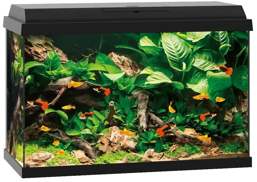 Akvaarium Primo LED 60L-110L 4 Akvaarium Primo LED 60L-110L - Pilt 4