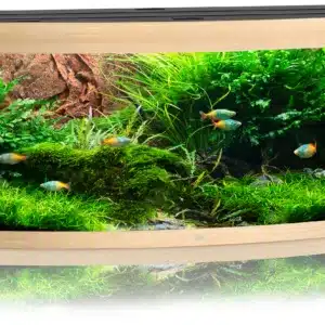 Akvaarium Vision LED 450 L