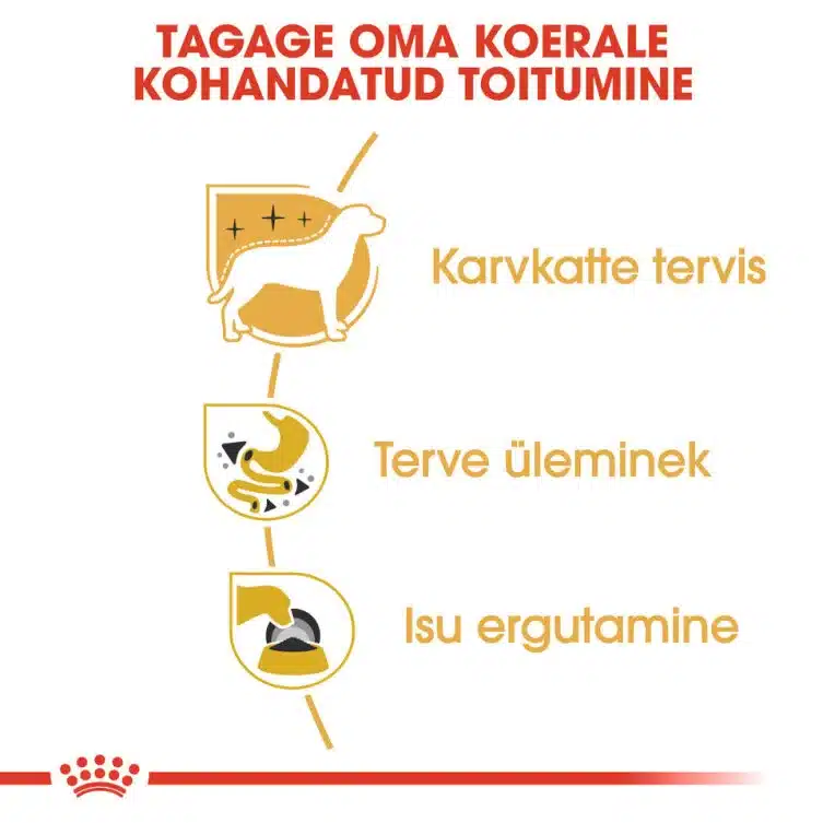 Royal Canin BHN CHIHUAHUA WET (85g x 12) 5 Royal Canin BHN CHIHUAHUA WET (85g x 12) - Pilt 5