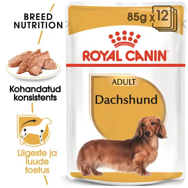 Royal Canin BHN DACHSHUND WET (85g x 12) 2 Royal Canin BHN DACHSHUND WET (85g x 12) - Pilt 2