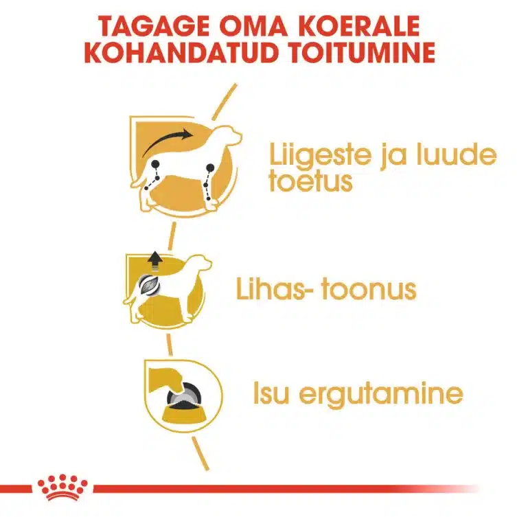 Royal Canin BHN DACHSHUND WET (85g x 12) 5 Royal Canin BHN DACHSHUND WET (85g x 12) - Pilt 5