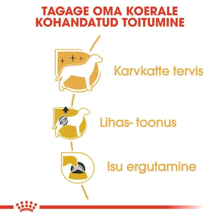Royal Canin BHN POODLE WET (85g x 12) 5 Royal Canin BHN POODLE WET (85g x 12) - Pilt 5