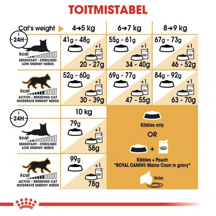 Royal Canin FBN MAINE COON ADULT 4 Royal Canin FBN MAINE COON ADULT - Pilt 4