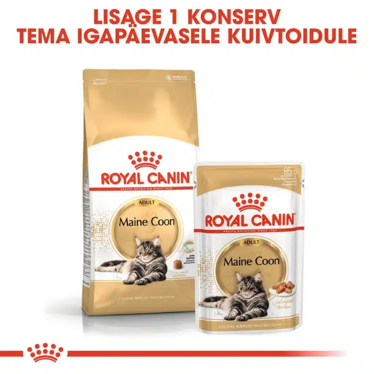 Royal Canin FBN MAINE COON ADULT 5 Royal Canin FBN MAINE COON ADULT - Pilt 5