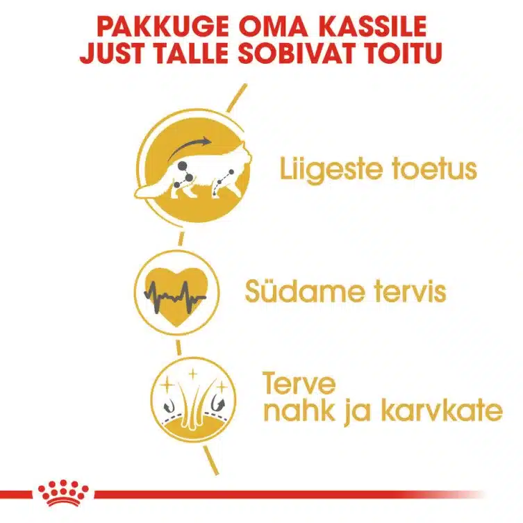 Royal Canin FBN MAINE COON ADULT 6 Royal Canin FBN MAINE COON ADULT - Pilt 6