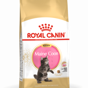 Royal Canin FBN MAINE COON KITTEN