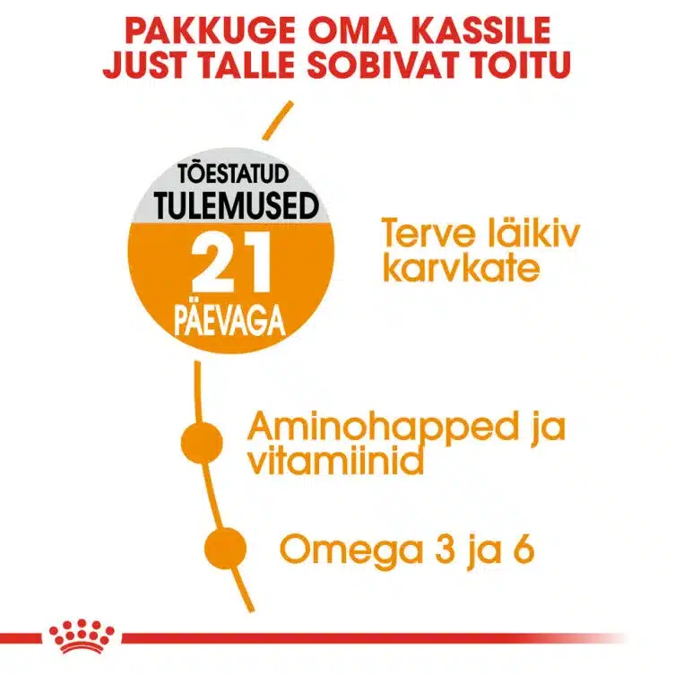 Royal Canin HAIR & SKIN CARE 6 Royal Canin HAIR & SKIN CARE - Pilt 6