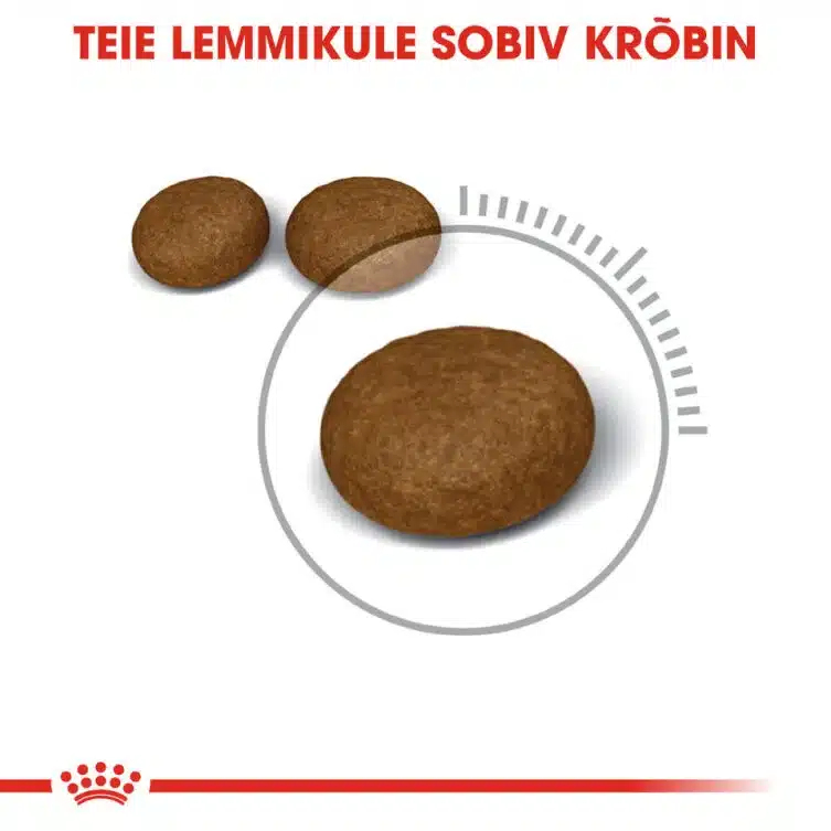 Royal Canin HAIR & SKIN CARE 7 Royal Canin HAIR & SKIN CARE - Pilt 7