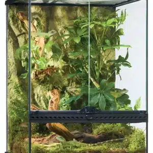 Klaasist terraarium Exo-Terra Natural Terrarium Small Tall 45 x 45 x 60 cm PT2607