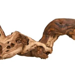 Terraariumi dekoor Viinamarjapuu, M 30-40 cm