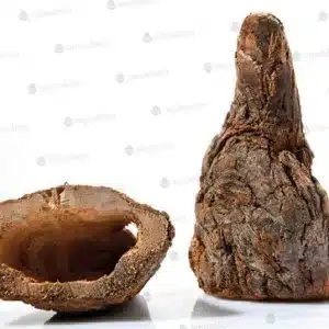 Terraariumi kaunistus Söödamägi M 15cm
