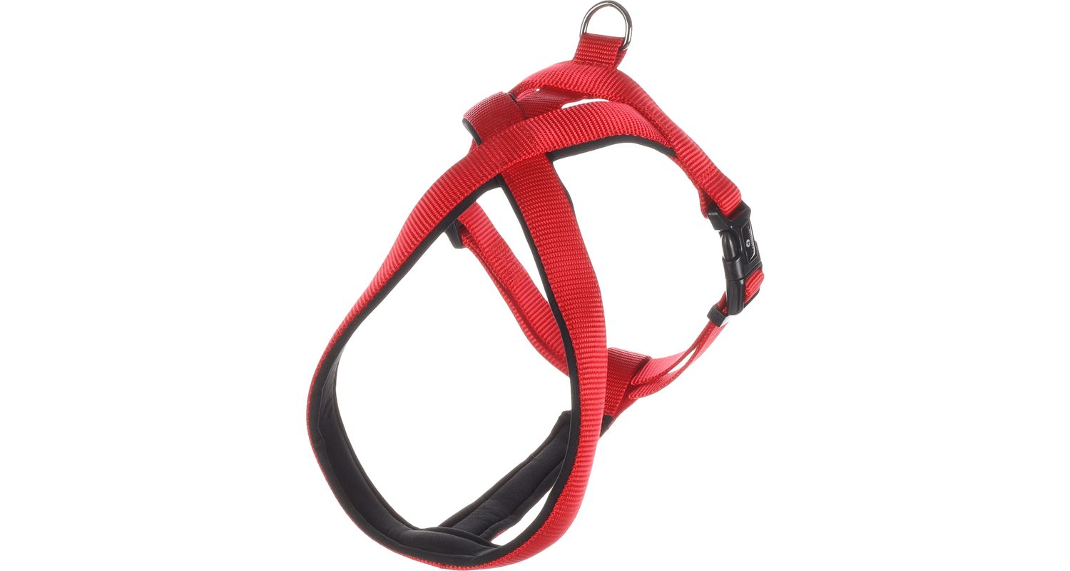Flamingo Abbi punased traksid koerale XS 48-55cm 20mm 1 Flamingo Abbi punased traksid koerale XS 48-55cm 20mm