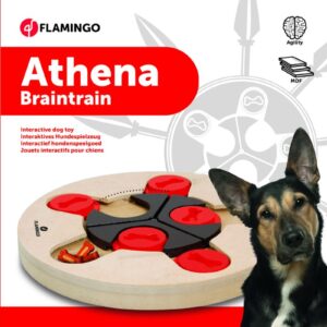 Flamingo interaktiivne puidust mänguasi Athena koertele ø 25cm