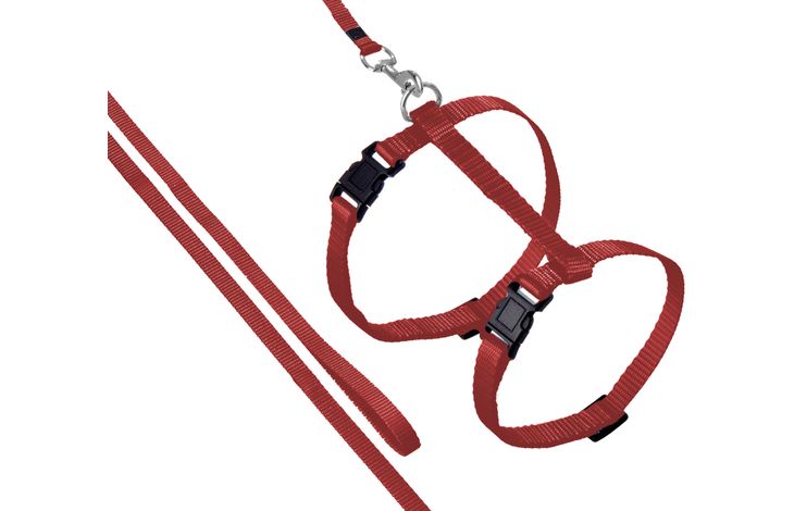 Flamingo punased traksid rihmaga kassile 1 Flamingo punased traksid rihmaga kassile