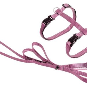 Flamingo roosad traksid rihmaga kassile