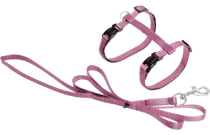 Flamingo roosad traksid rihmaga kassile 1 Flamingo roosad traksid rihmaga kassile