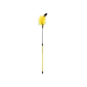 Record kollane sulega kassiõng 48cm