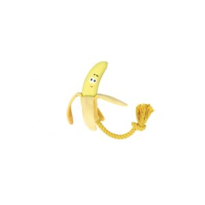 Record koeralelu banaan 49cm