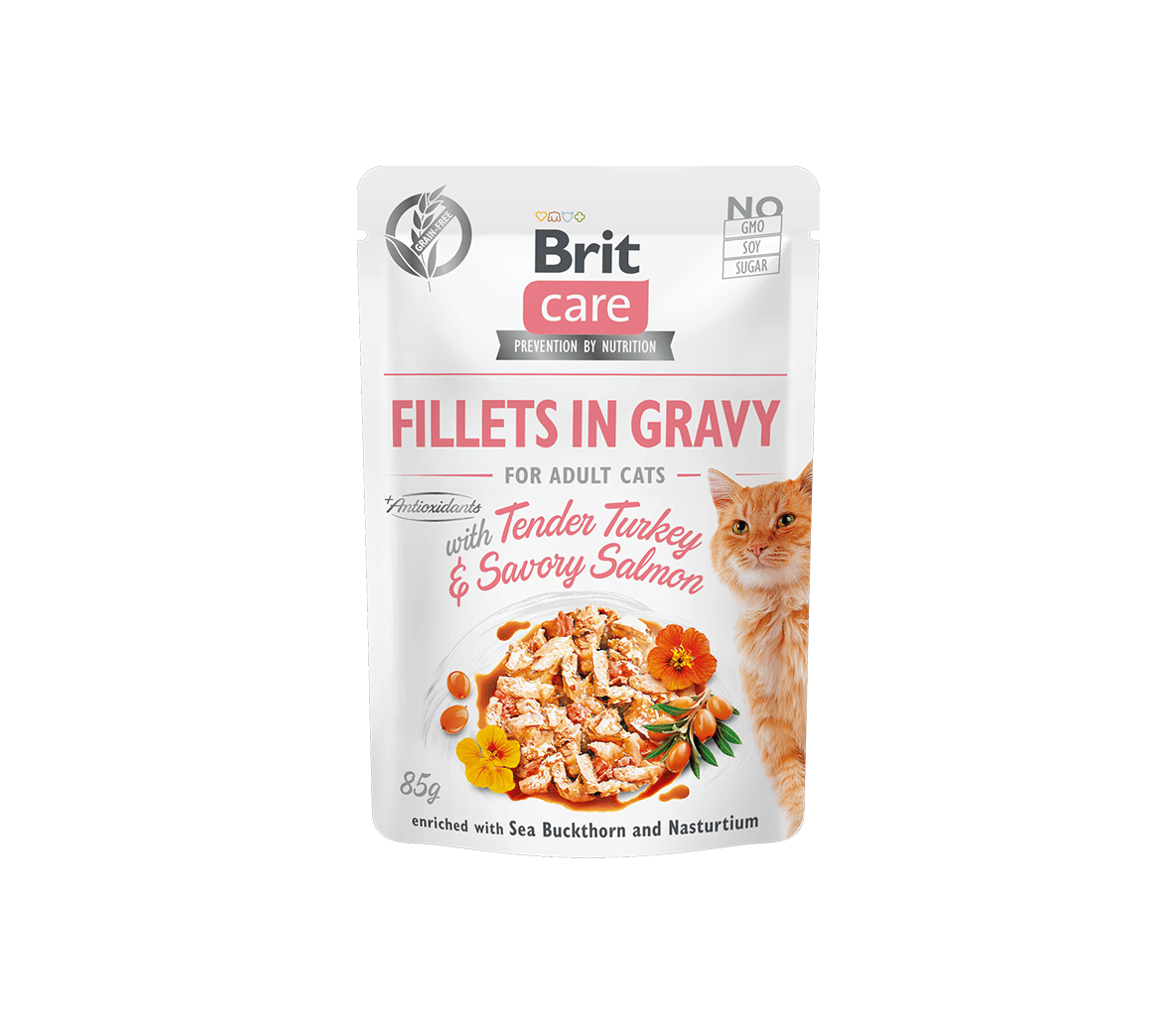 Brit Care Fillets in Gravy Tender Turkey & Savory Salmon märgtoit kassidele 85g 1 Brit Care Fillets in Gravy Tender Turkey & Savory Salmon märgtoit kassidele 85g