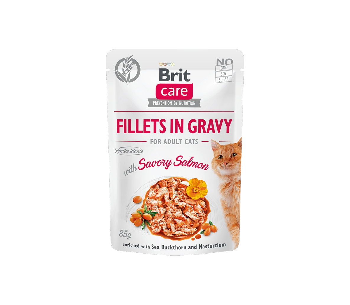 Brit Care Fillets in Gravy Savory Salmon märgtoit kassidele 85g 1 Brit Care Fillets in Gravy Savory Salmon märgtoit kassidele 85g