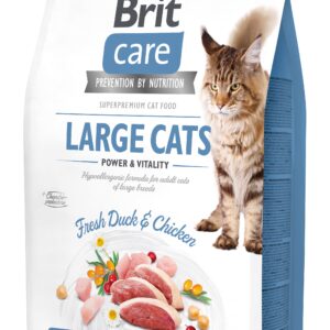 Brit Care Cat Grain-Free Large cats Power Vitality kassitoit 2 kg