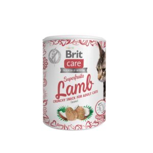 Brit Care Cat Snack SuperFruits Lamb kassimaius lambalihaga 100g