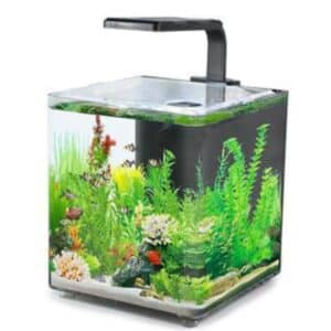 Akvaarium AQUACLEAR DESKTOP TANK AC10