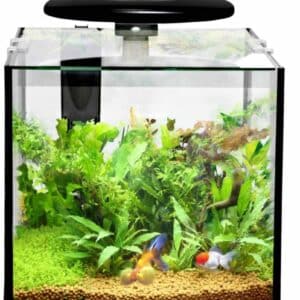 Akvaarium CLEAR CUBE CC30 KOMPLEKT