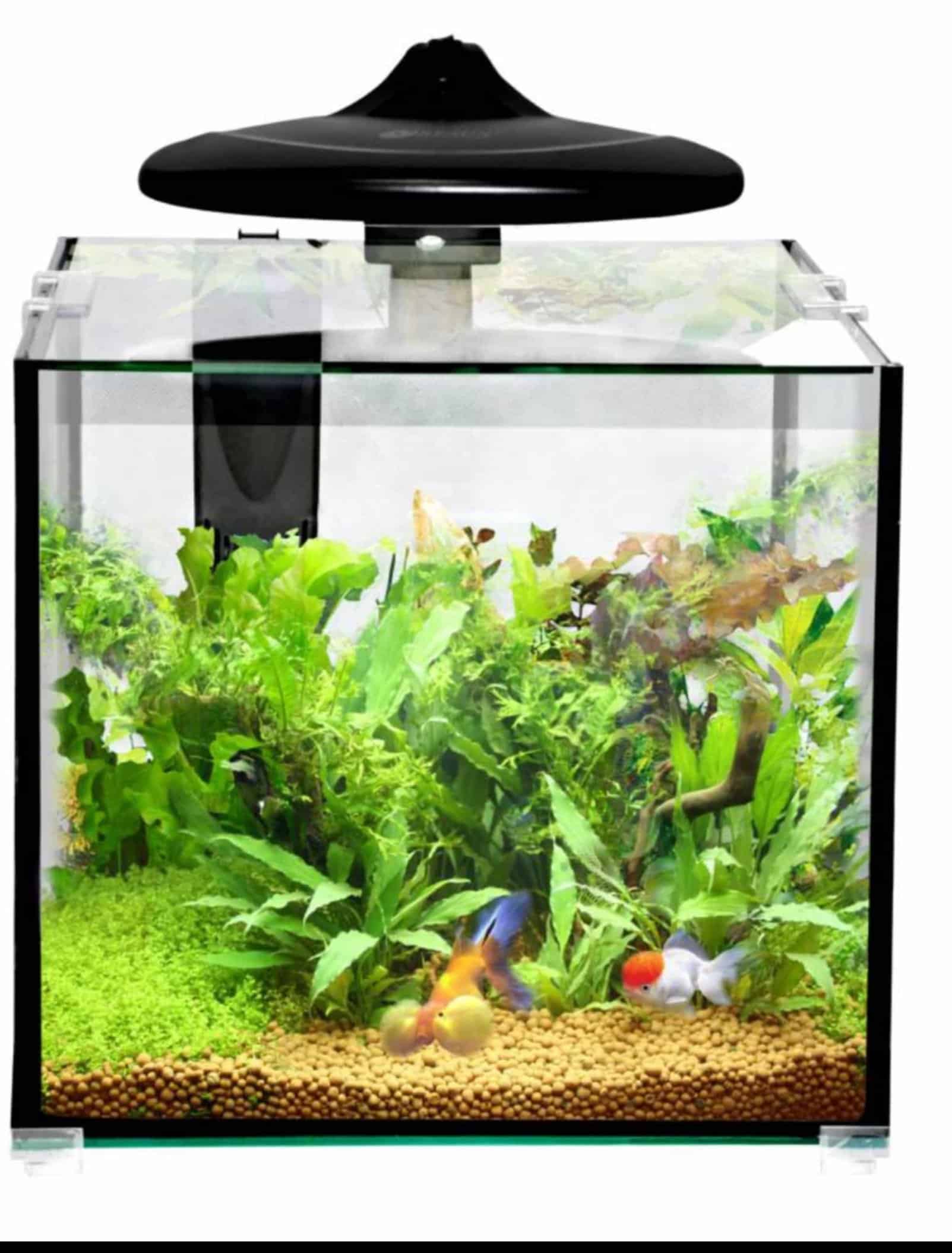 Akvaarium CLEAR CUBE CC30 KOMPLEKT 1 Akvaarium CLEAR CUBE CC30 KOMPLEKT