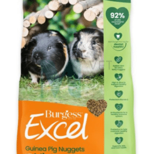 BURGESS EXCEL MERISEA TÄISSÖÖT MINT