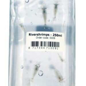 Palaemonetes varians - kääbuskrevett - jõekrevetid 250 ml