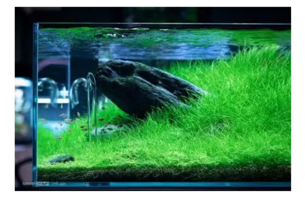 screenshot 20240320 1451477E25252116033635578439