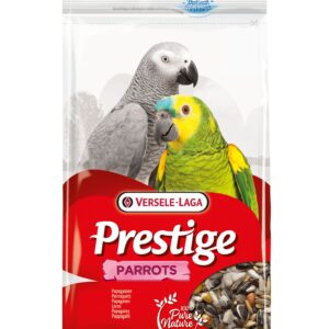 Prestige Suur papagoi