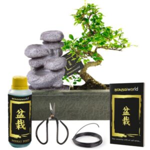 Bonsai kose komplekt – Zen + hoolduskomplekt