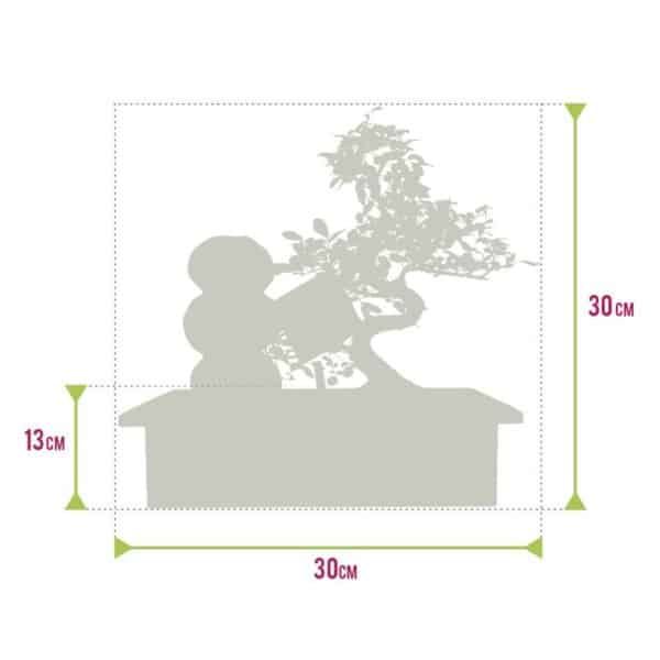 Bonsai kose komplekt – Zen + hoolduskomplekt 4 Bonsai kose komplekt – Zen + hoolduskomplekt - Pilt 4