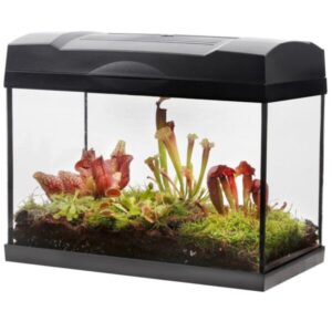 Lihasööjate taimede mega terrarium