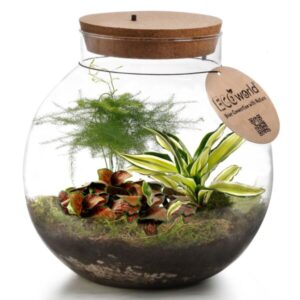 Troopiline terraarium