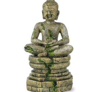 HINDU terra Buddha