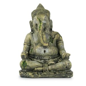 HINDU terra Ganesha