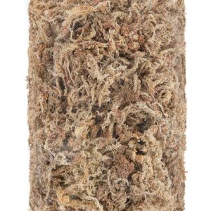 Sfagnum sammal 25g