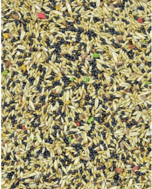MDM Canary Standard VITA-ORGANIC jaoks 10kg 2 Canary Standard VITA-ORGANIC jaoks 10kg