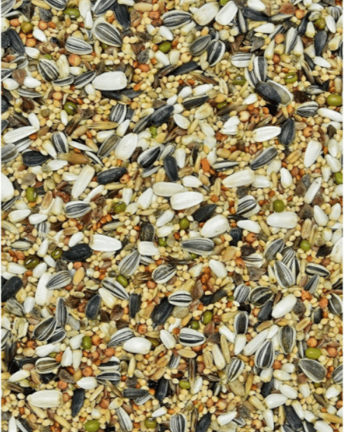 MDM Keskmistele papagoidele VITA-ORGANIC 10kg 2 Keskmistele papagoidele VITA-ORGANIC 10kg