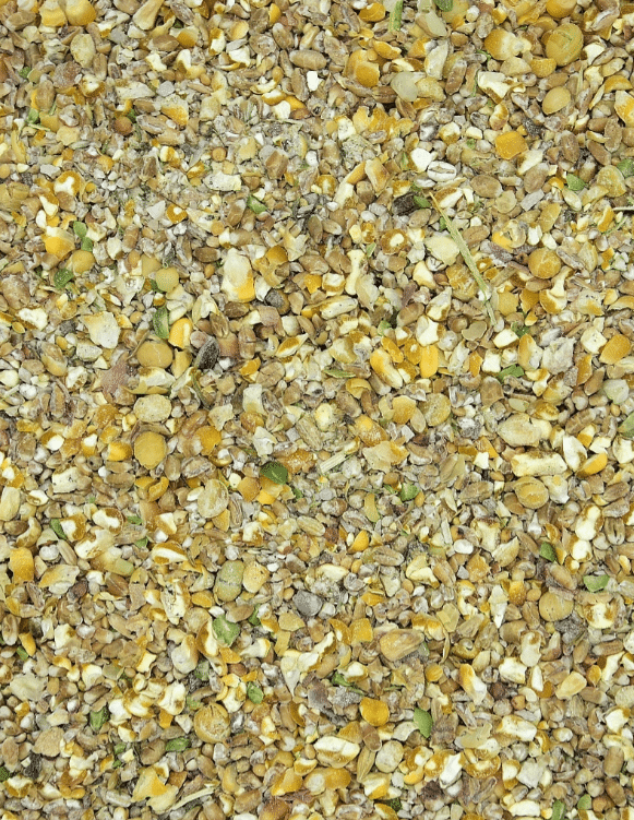 TOIT MUNEVALE KANALE kuivatatud ürtidega 25kg 2 TOIT-MUNEVALE-KANALE-kuivatatud-urtidega-25kg