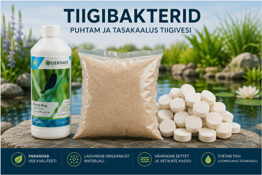Tiigibakterid